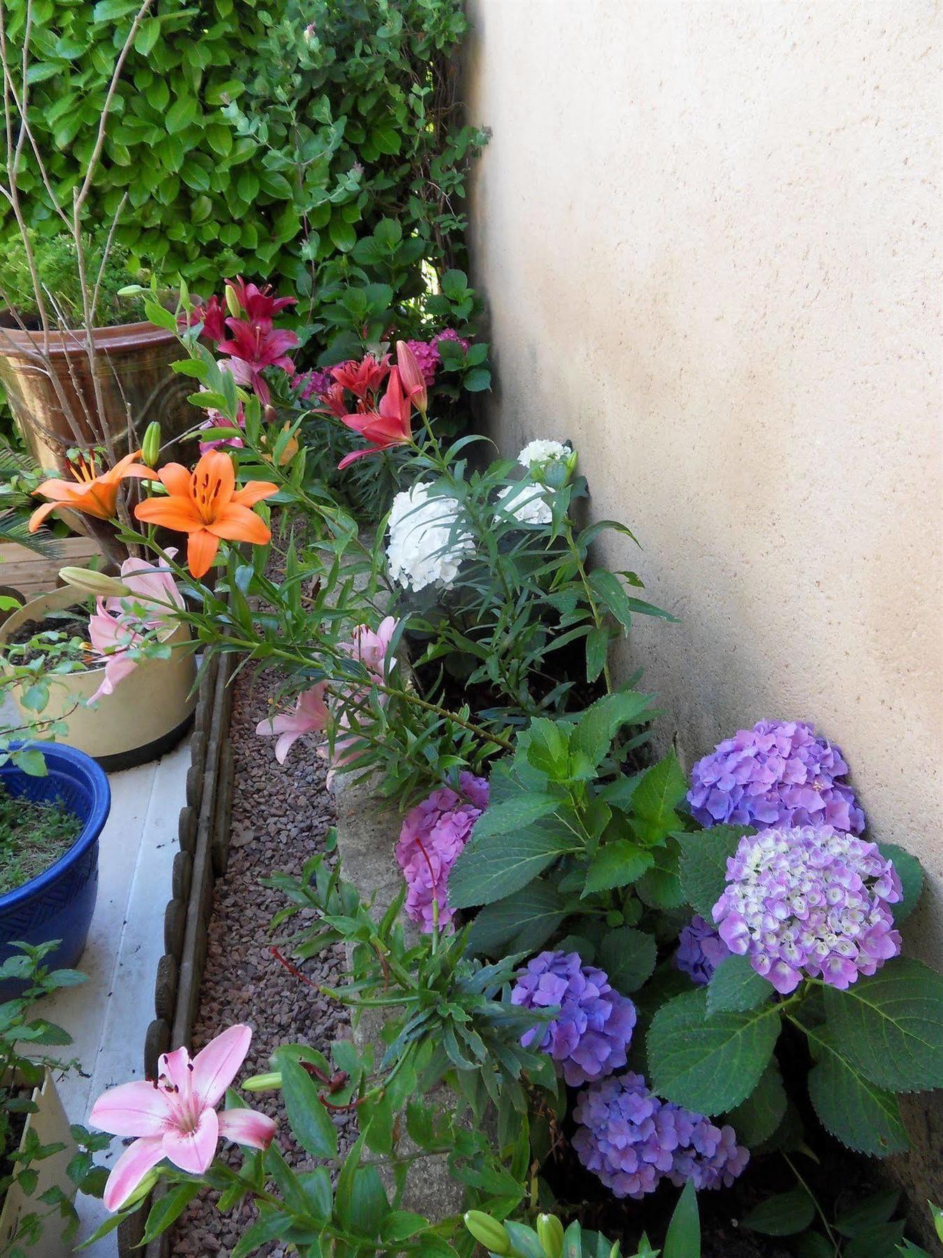 Le Jardin D'ivana D'hotes Avec Piscine Chauffee Bed & Breakfast